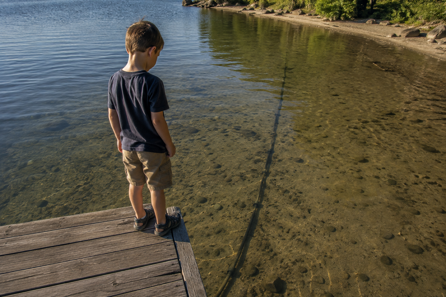 A cable running from shore out underwater into a lake